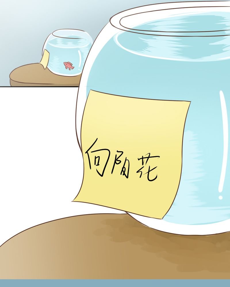 第26章：或许命运，可以改变吧