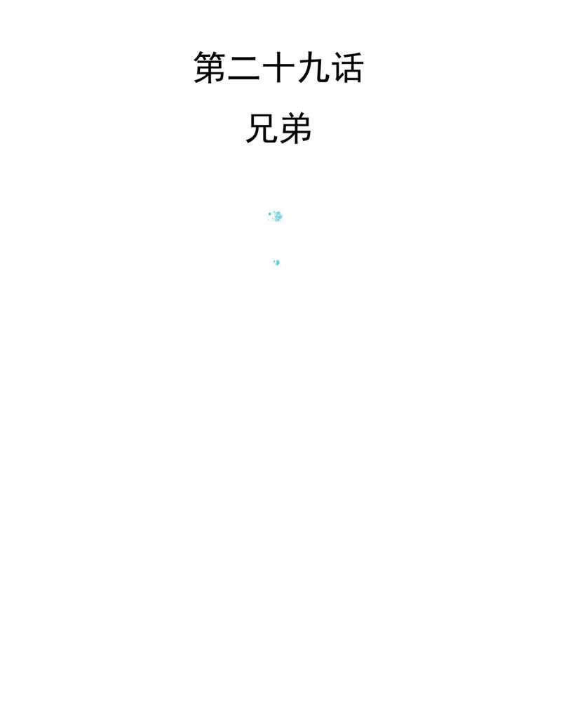 第29章：兄弟