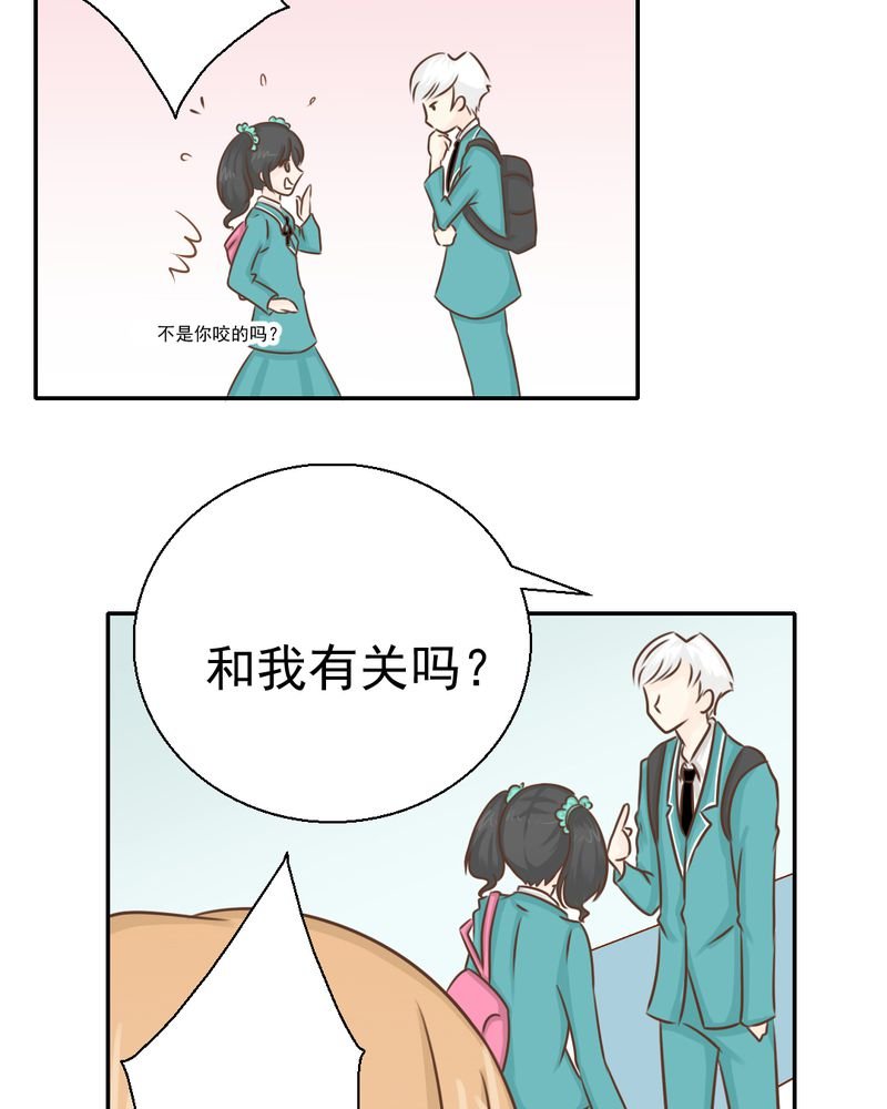 第29章：兄弟