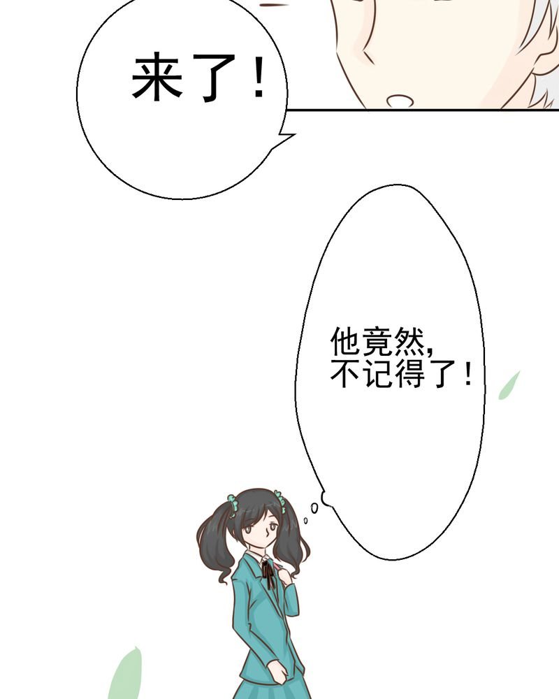 第29章：兄弟
