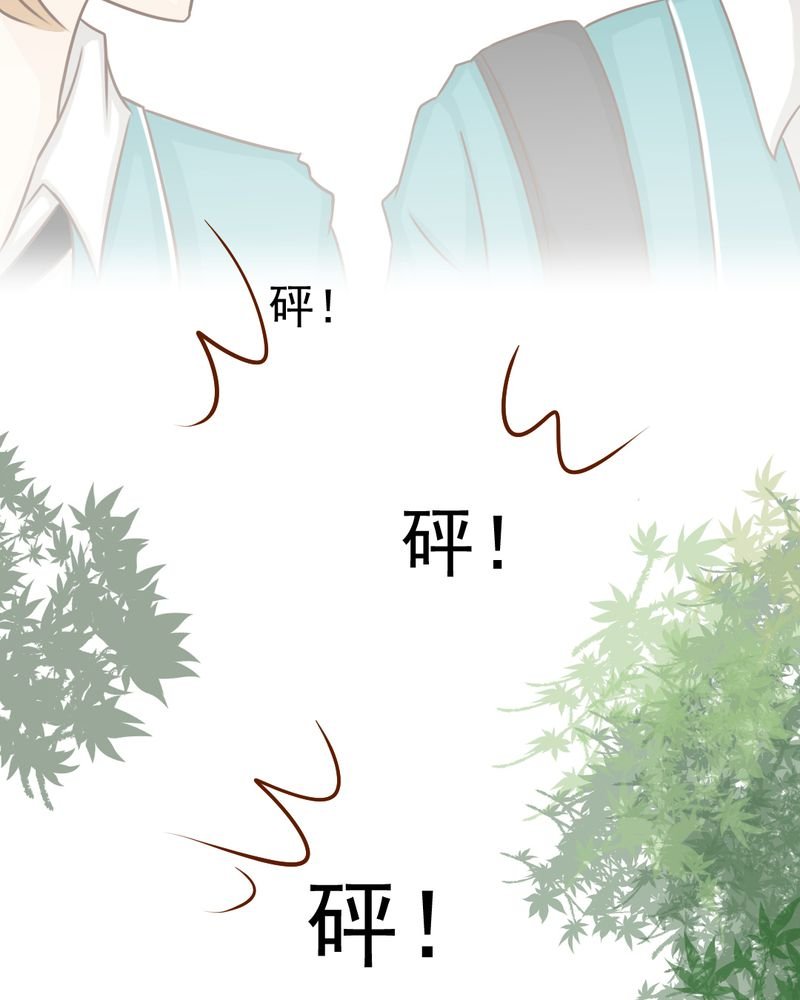 第29章：兄弟