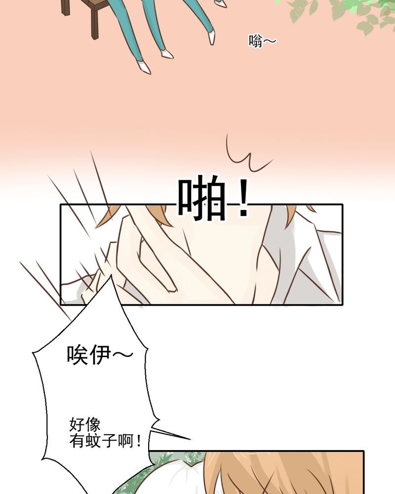 第29章：兄弟