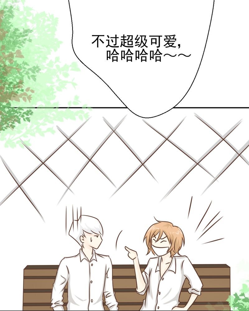 第29章：兄弟