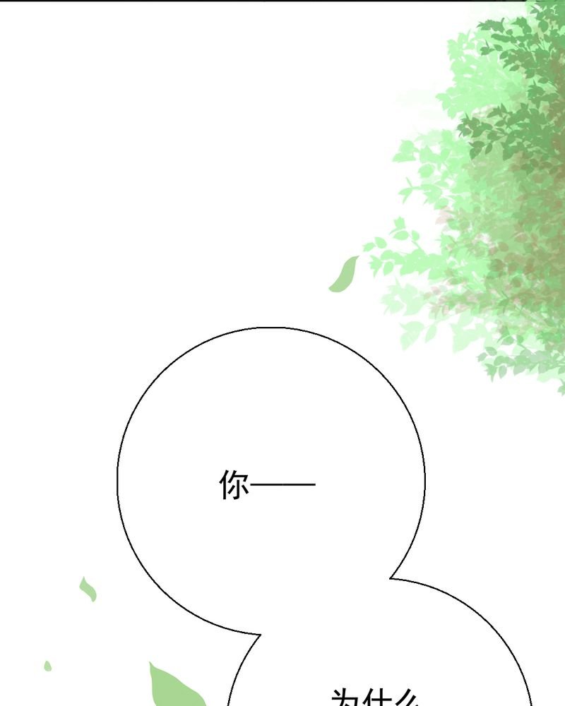 第29章：兄弟