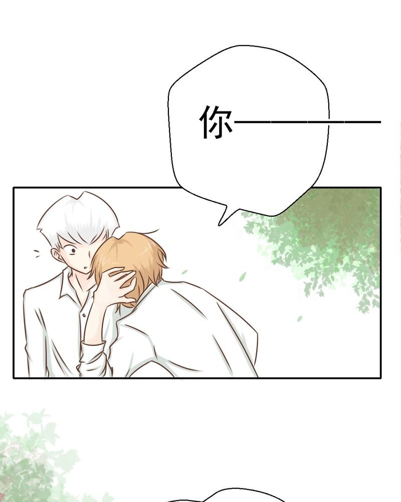 第29章：兄弟
