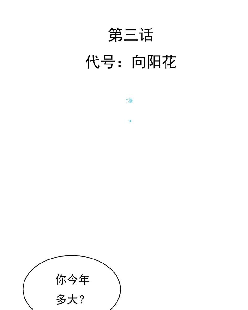 第3章：代号：向阳花