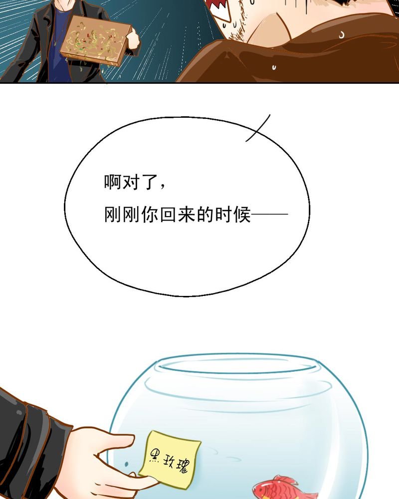 第3章：代号：向阳花