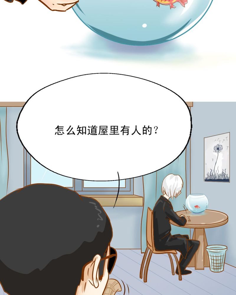 第3章：代号：向阳花
