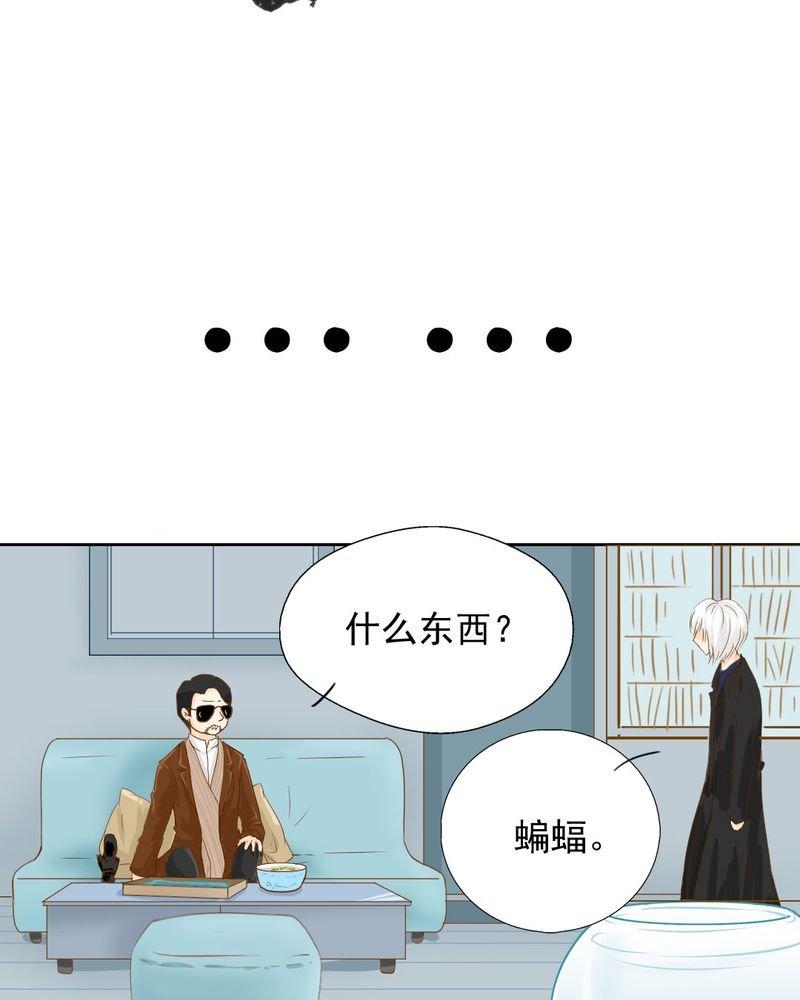 第3章：代号：向阳花