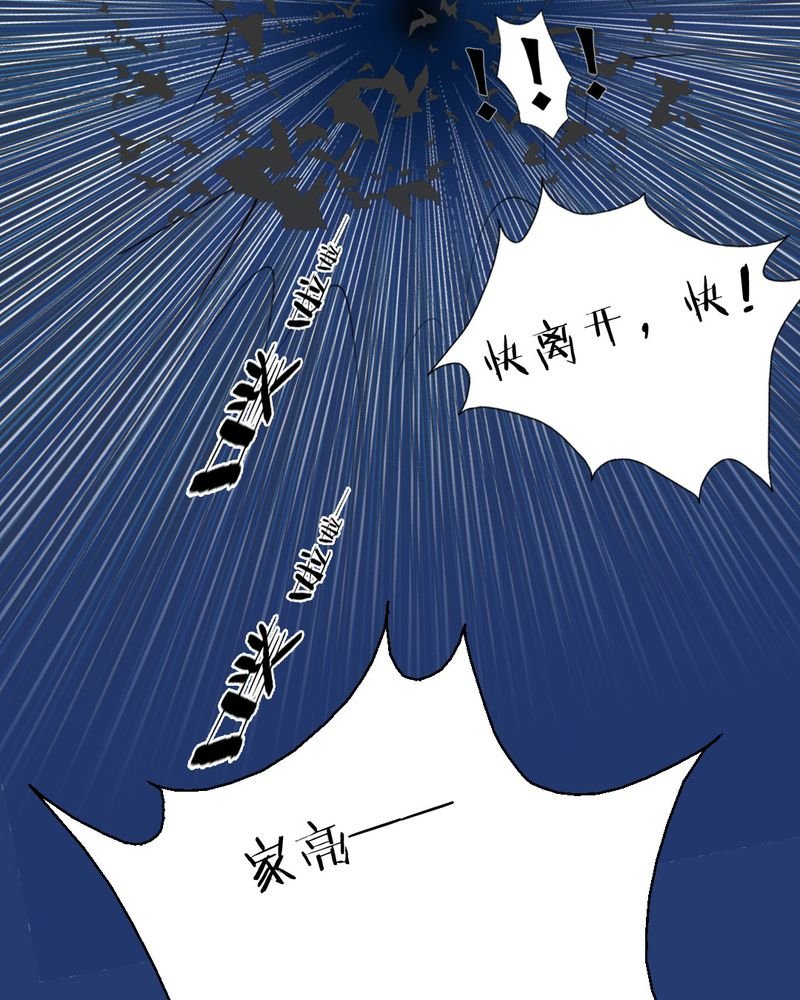 第3章：代号：向阳花
