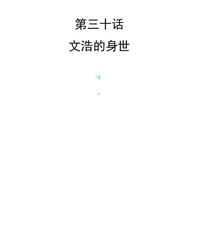 第30章：文浩的身世