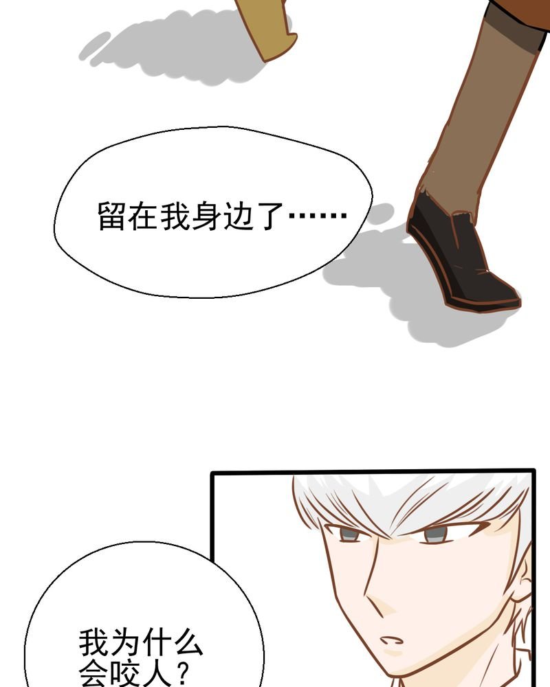 第30章：文浩的身世