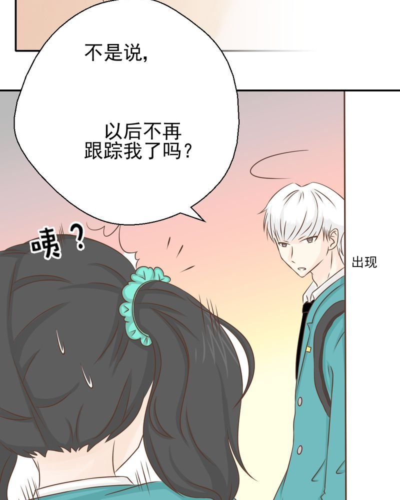 第33章：你喜欢我吗