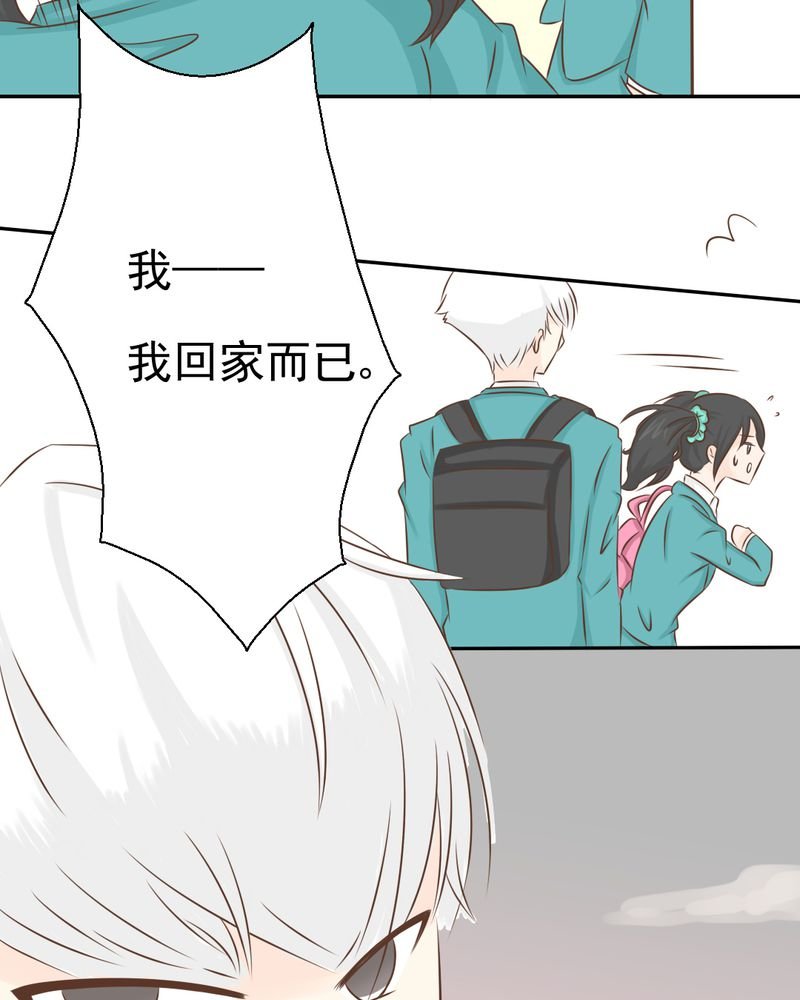 第33章：你喜欢我吗