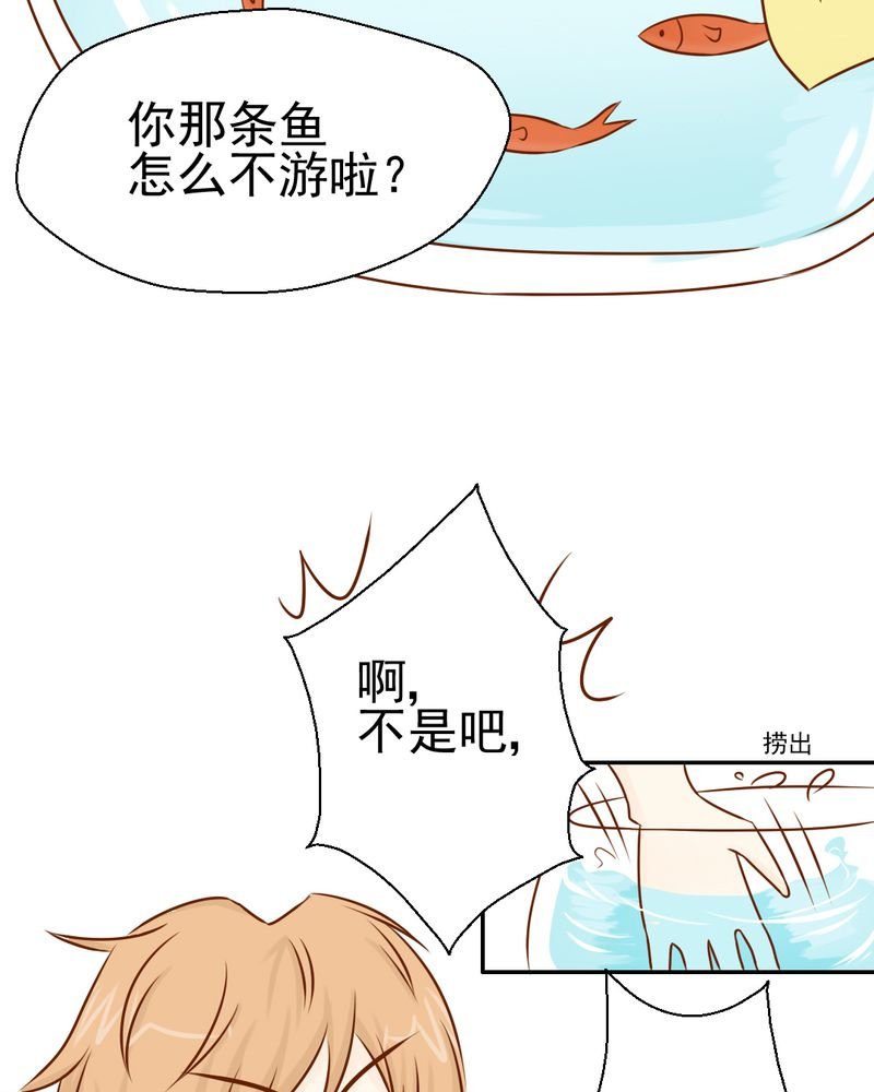 第34章：文浩的生日