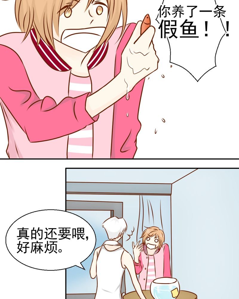 第34章：文浩的生日