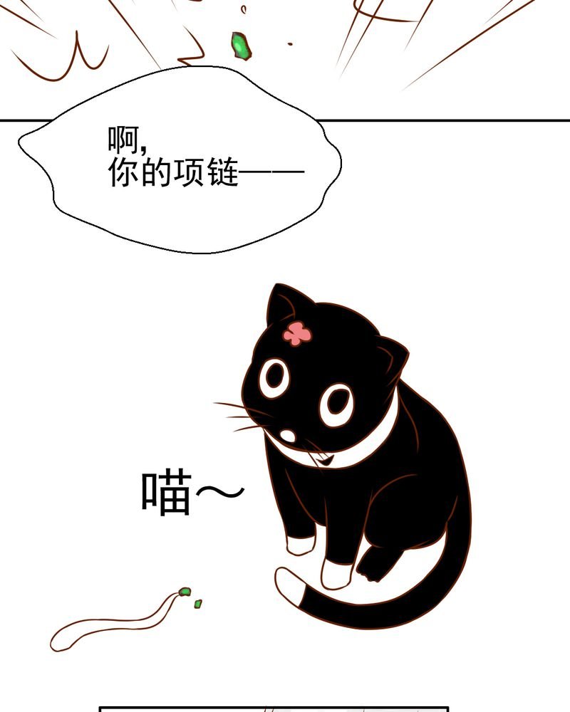 第34章：文浩的生日