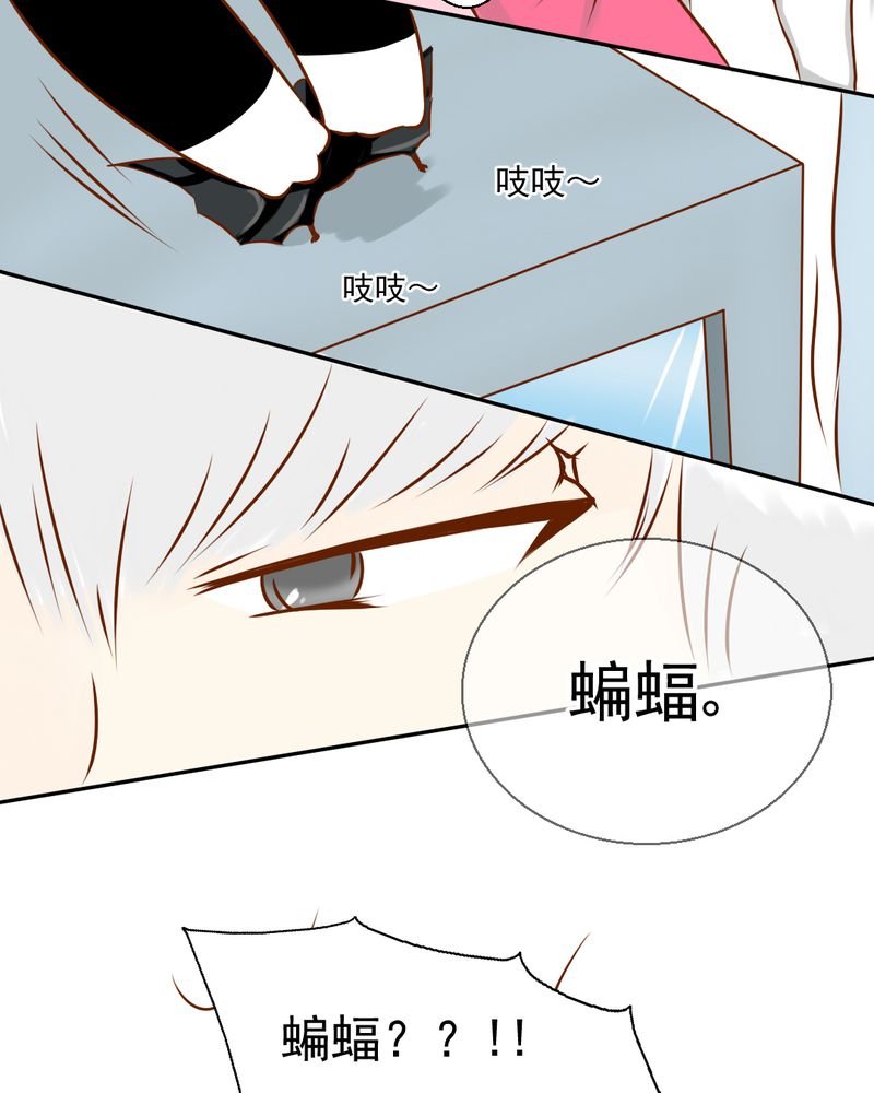 第34章：文浩的生日