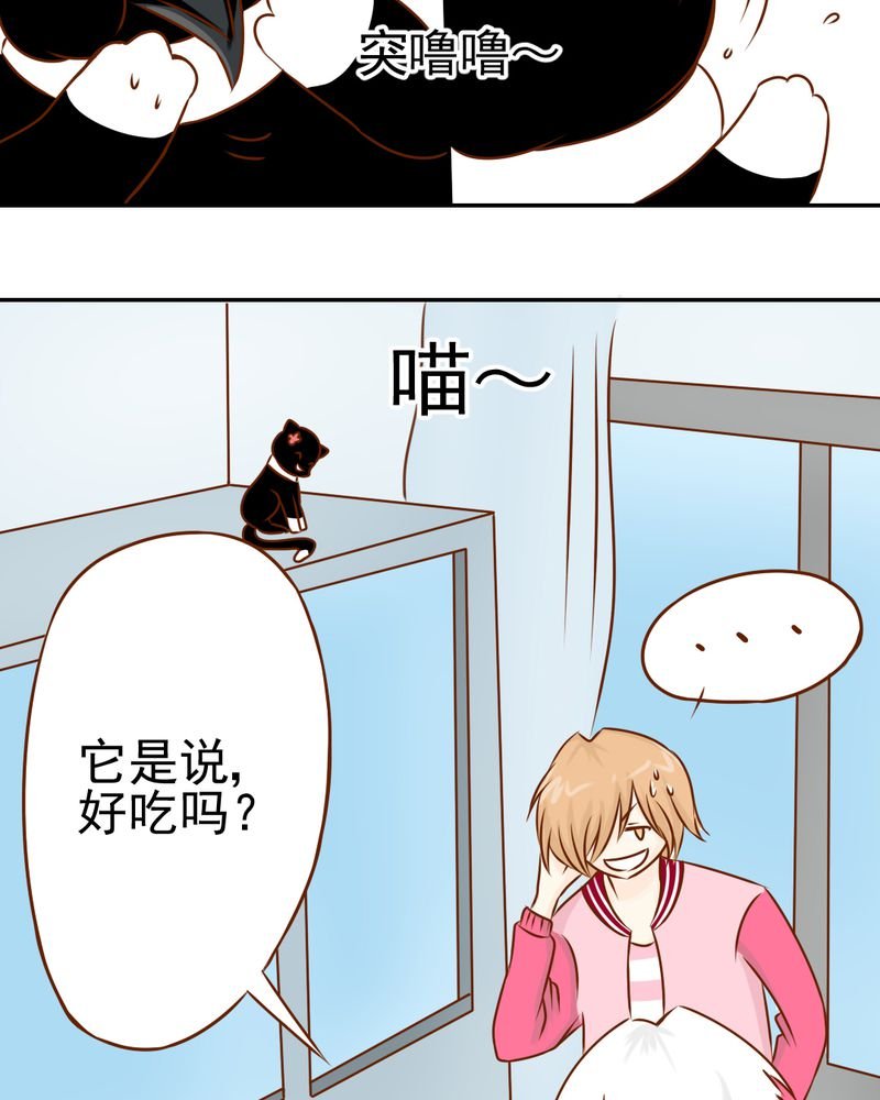 第34章：文浩的生日