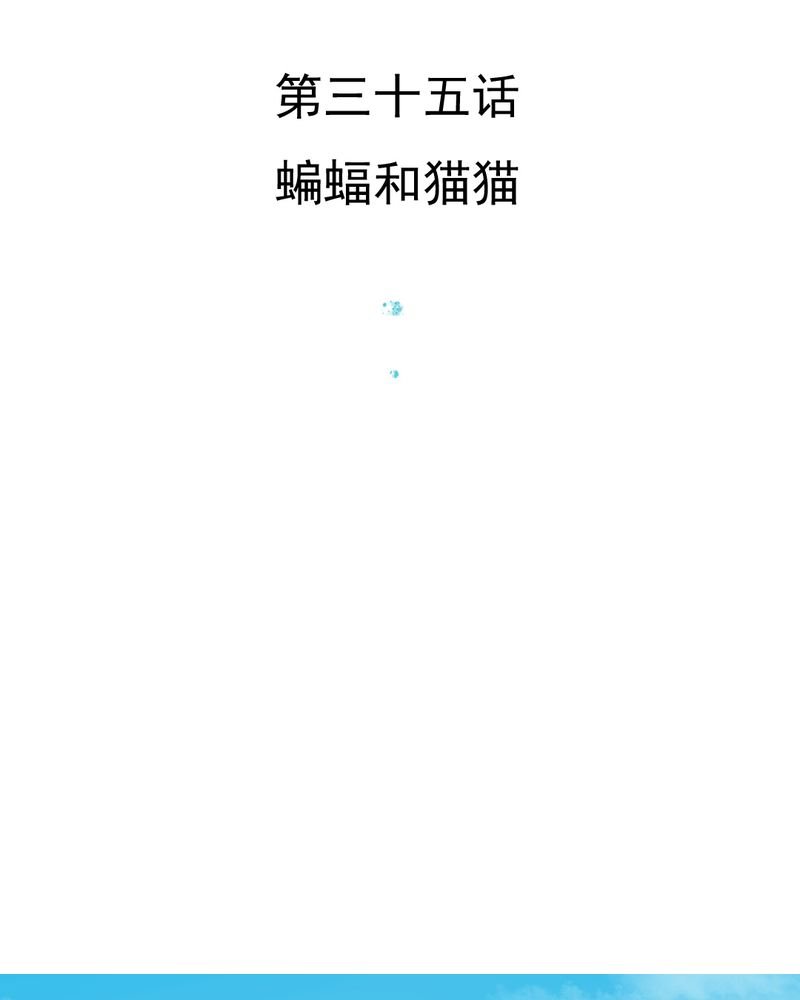 第35章：蝙蝠和猫猫