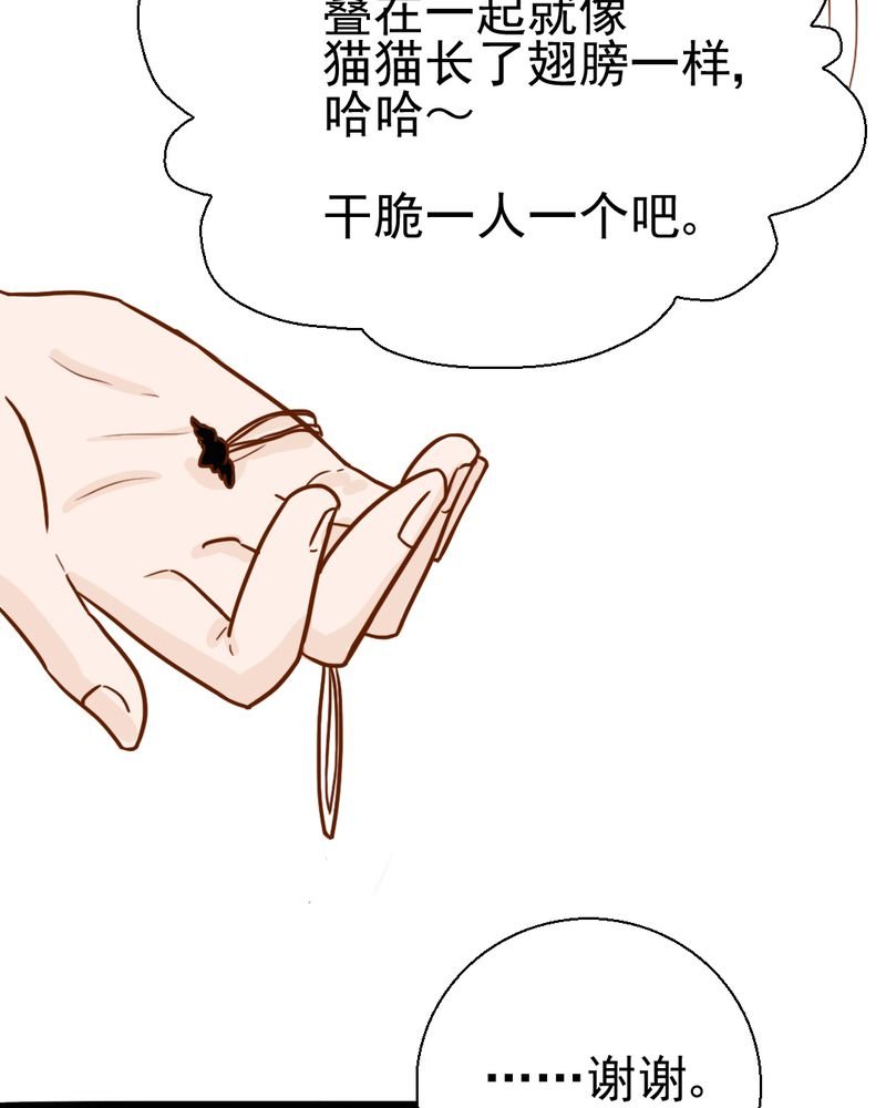 第35章：蝙蝠和猫猫