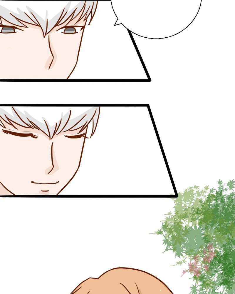 第35章：蝙蝠和猫猫