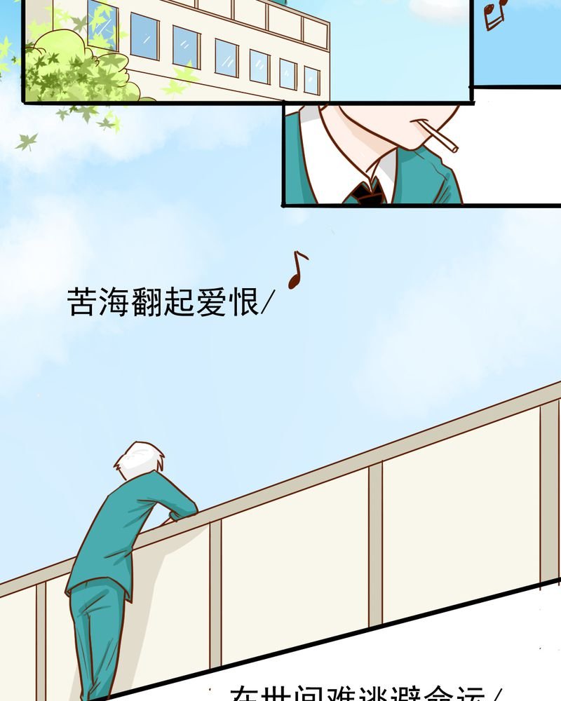 第35章：蝙蝠和猫猫