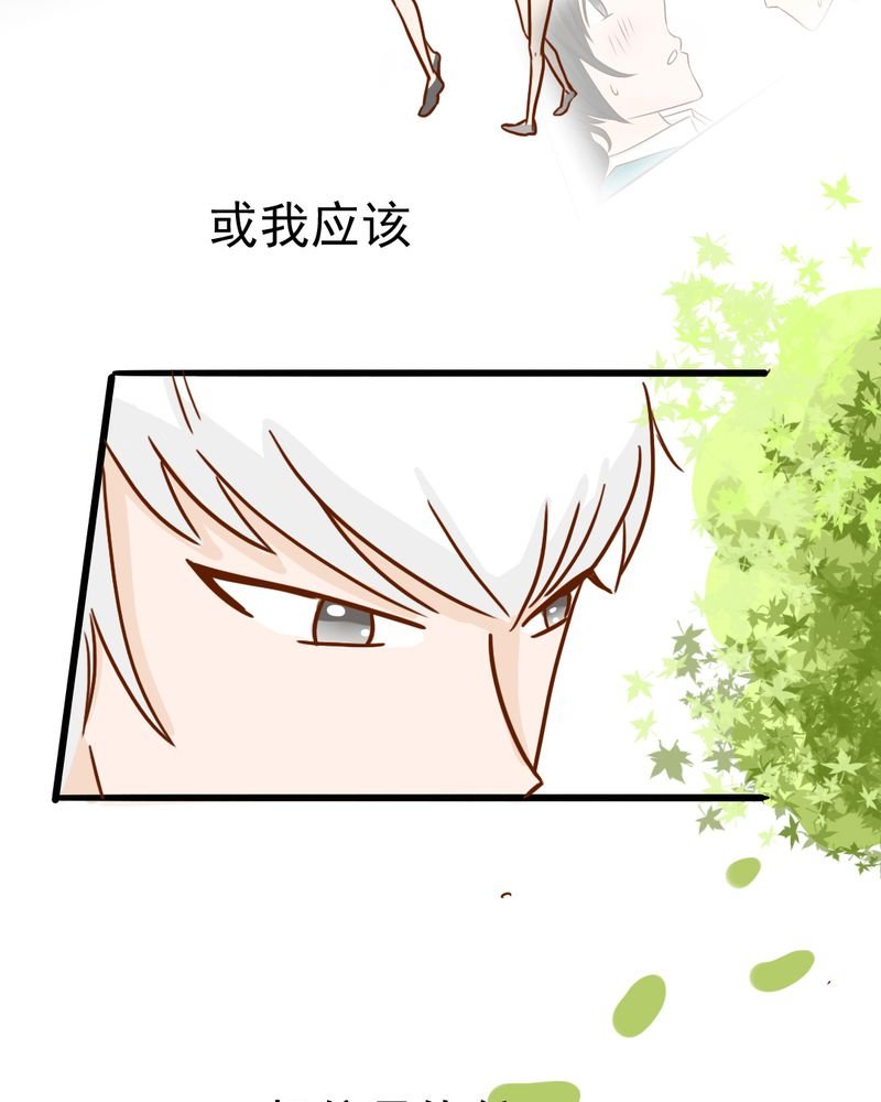 第35章：蝙蝠和猫猫