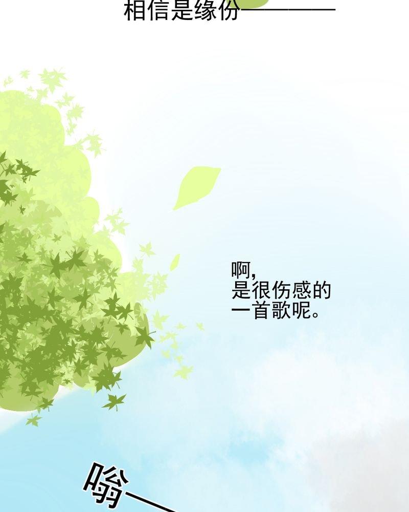 第35章：蝙蝠和猫猫