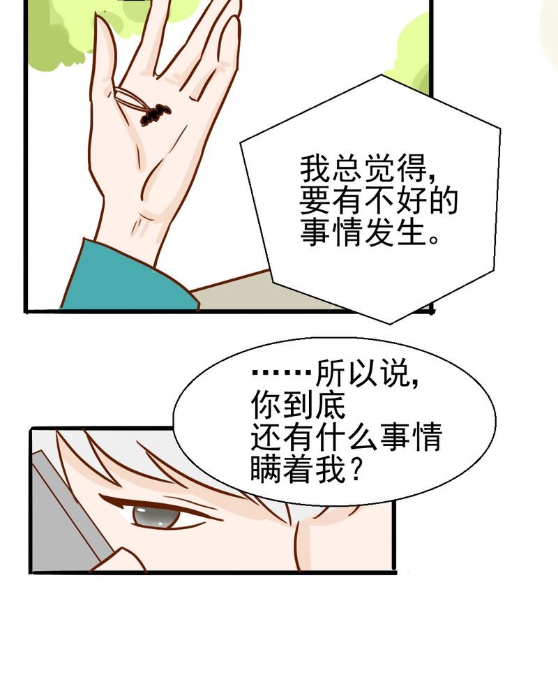 第35章：蝙蝠和猫猫