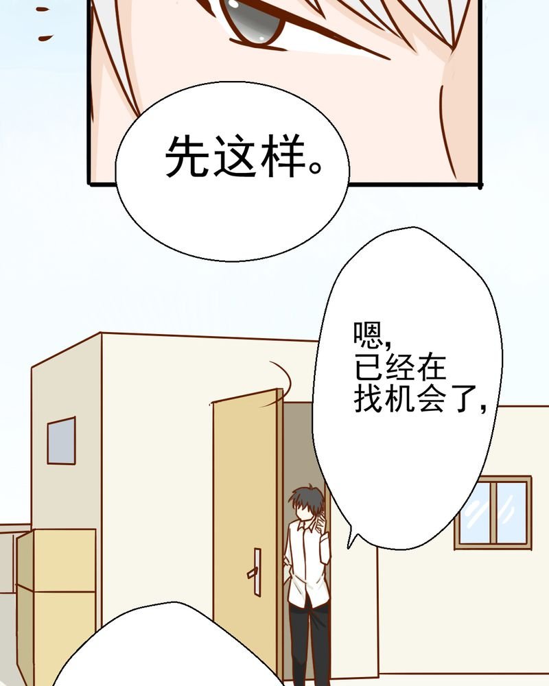 第35章：蝙蝠和猫猫