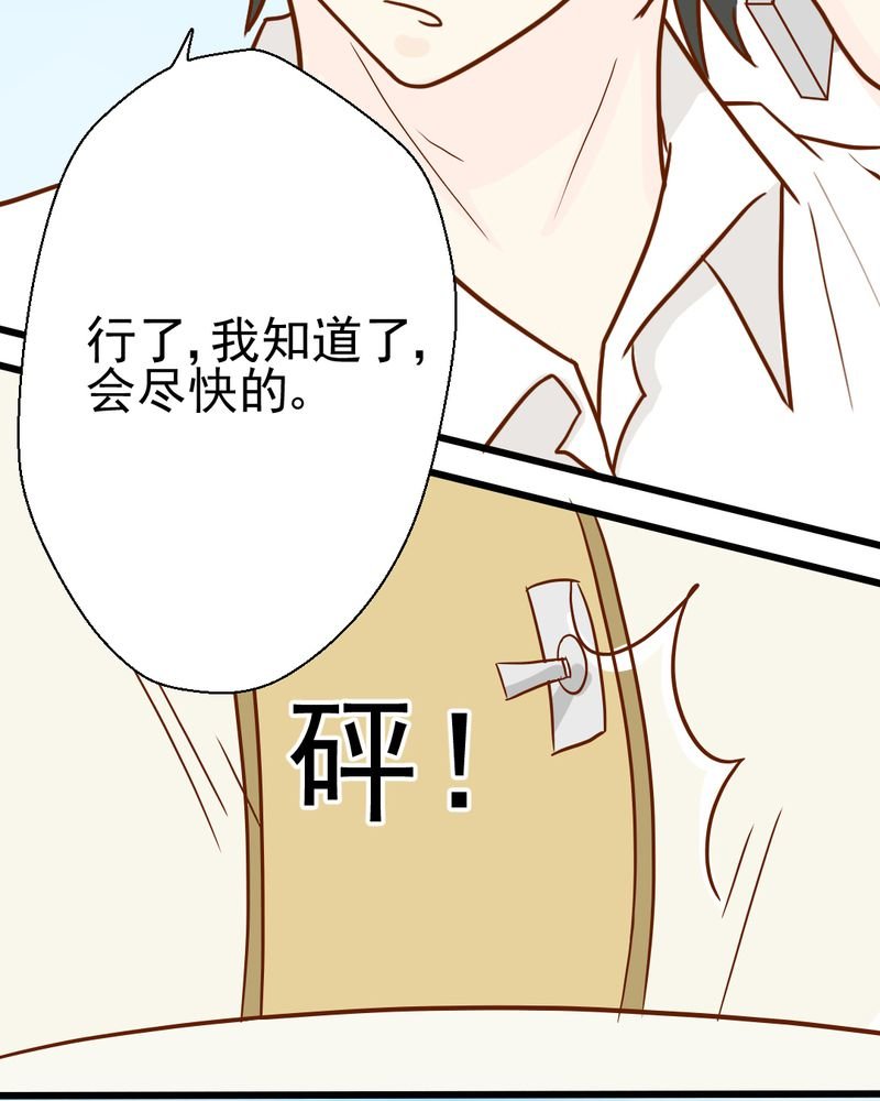 第35章：蝙蝠和猫猫
