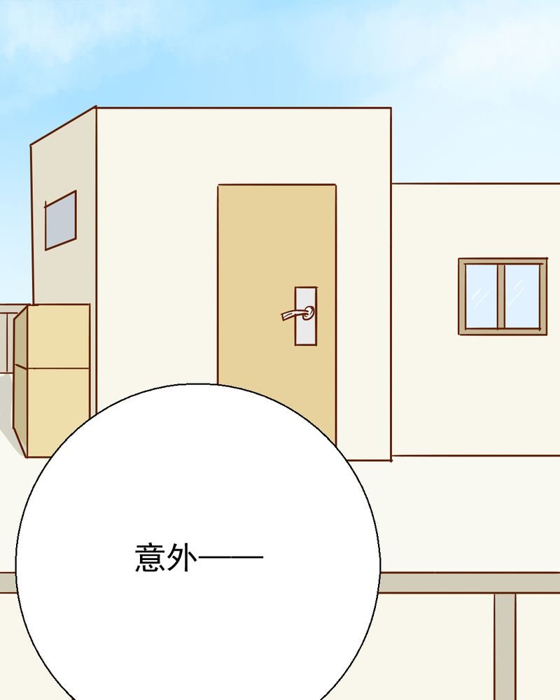 第35章：蝙蝠和猫猫