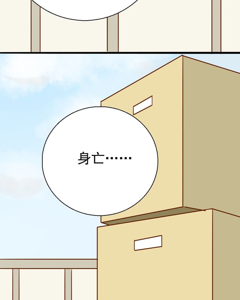 第35章：蝙蝠和猫猫