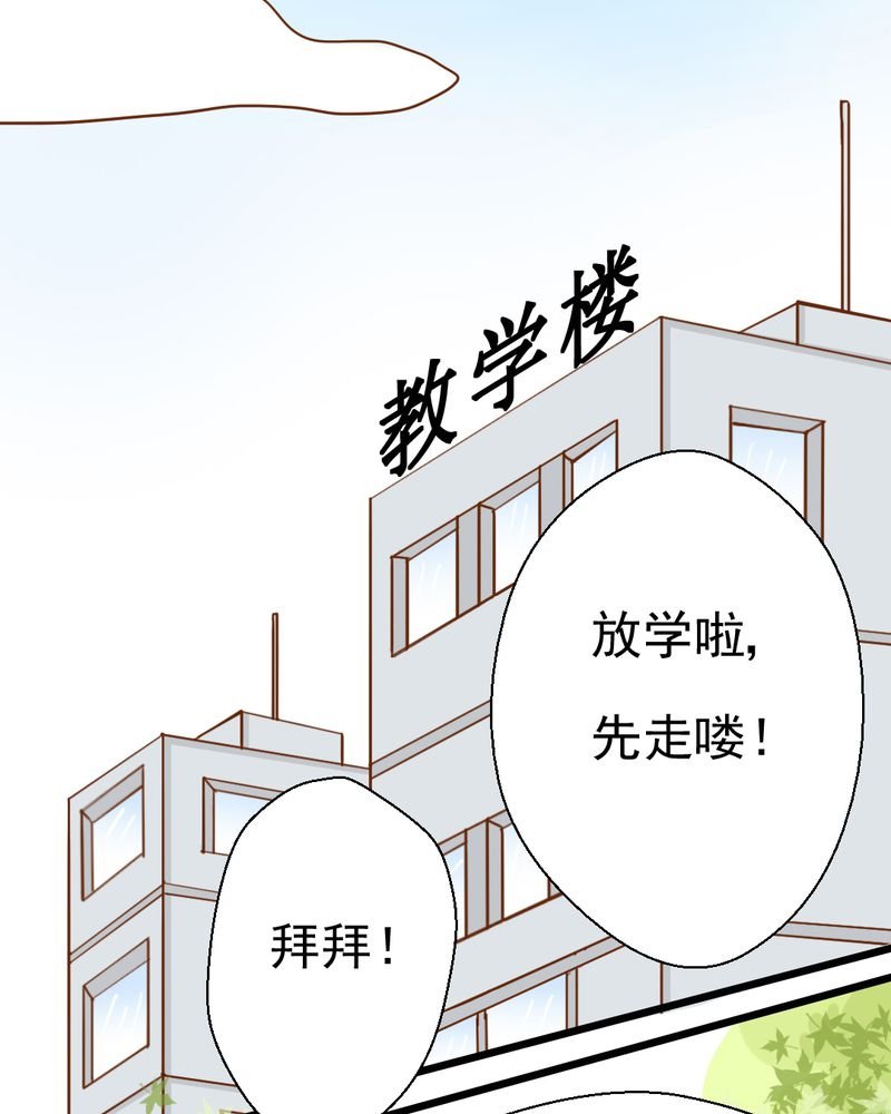 第35章：蝙蝠和猫猫