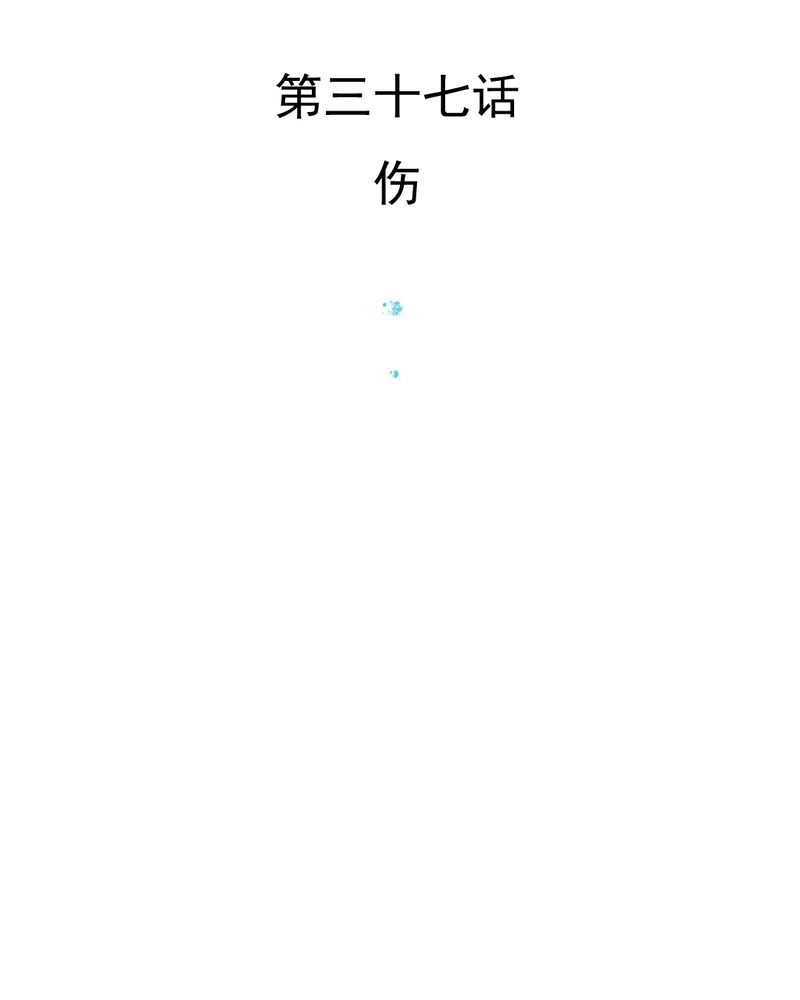 第37章：伤