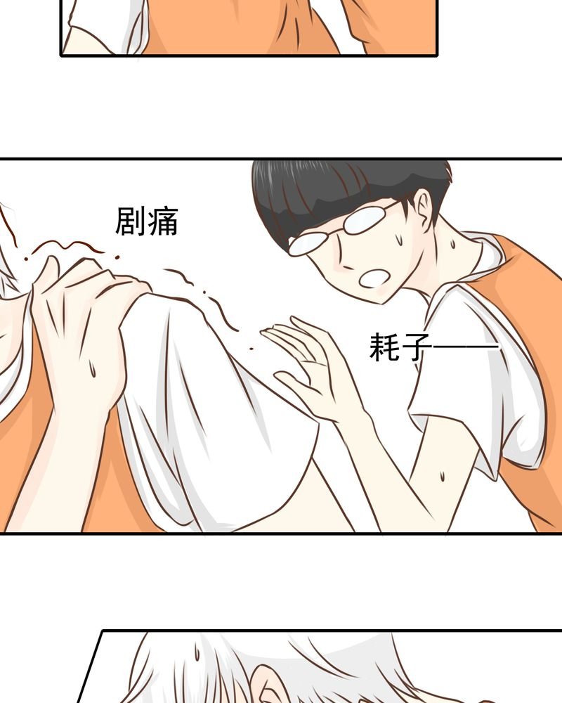 第39章：轮回（大结局）