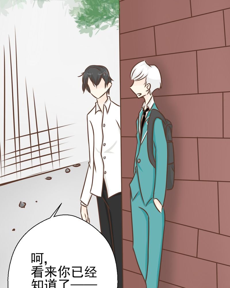 第39章：轮回（大结局）