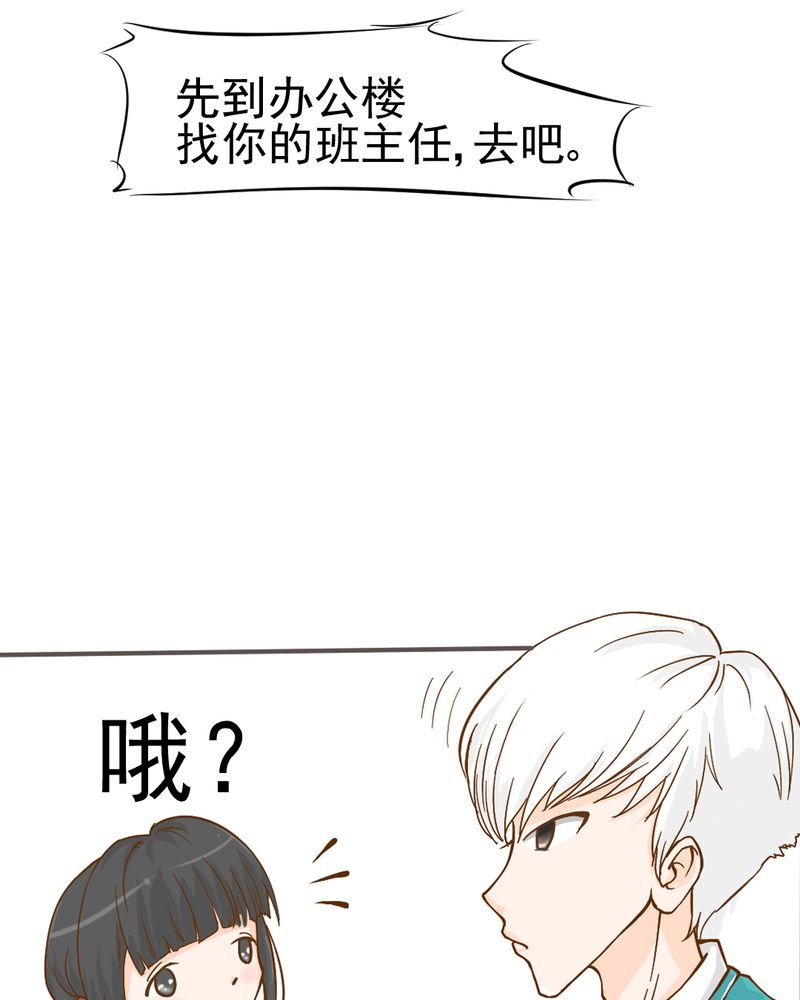 第6章：阳光下的校园
