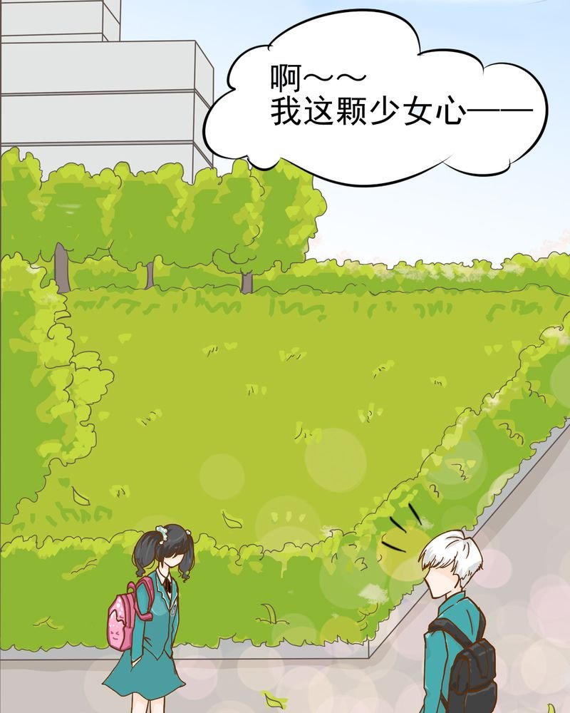 第6章：阳光下的校园