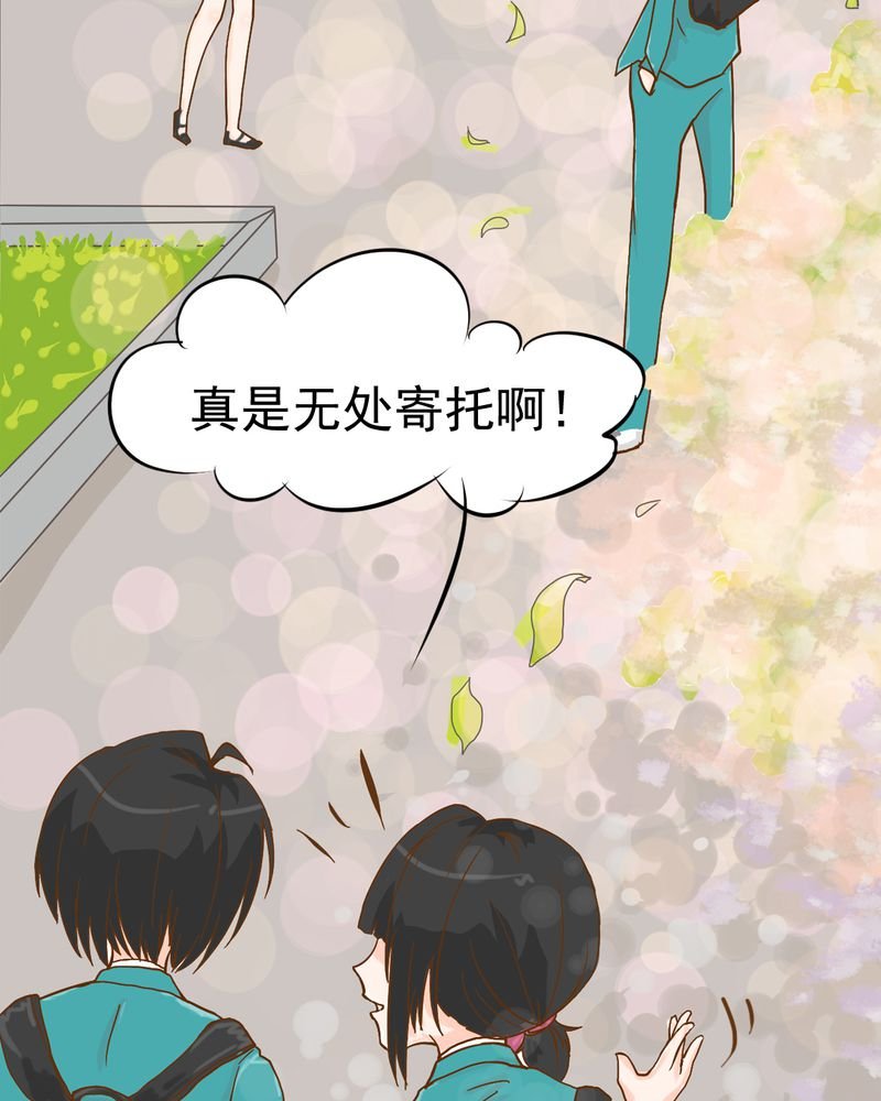 第6章：阳光下的校园