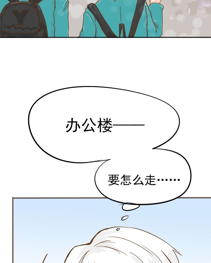 第6章：阳光下的校园