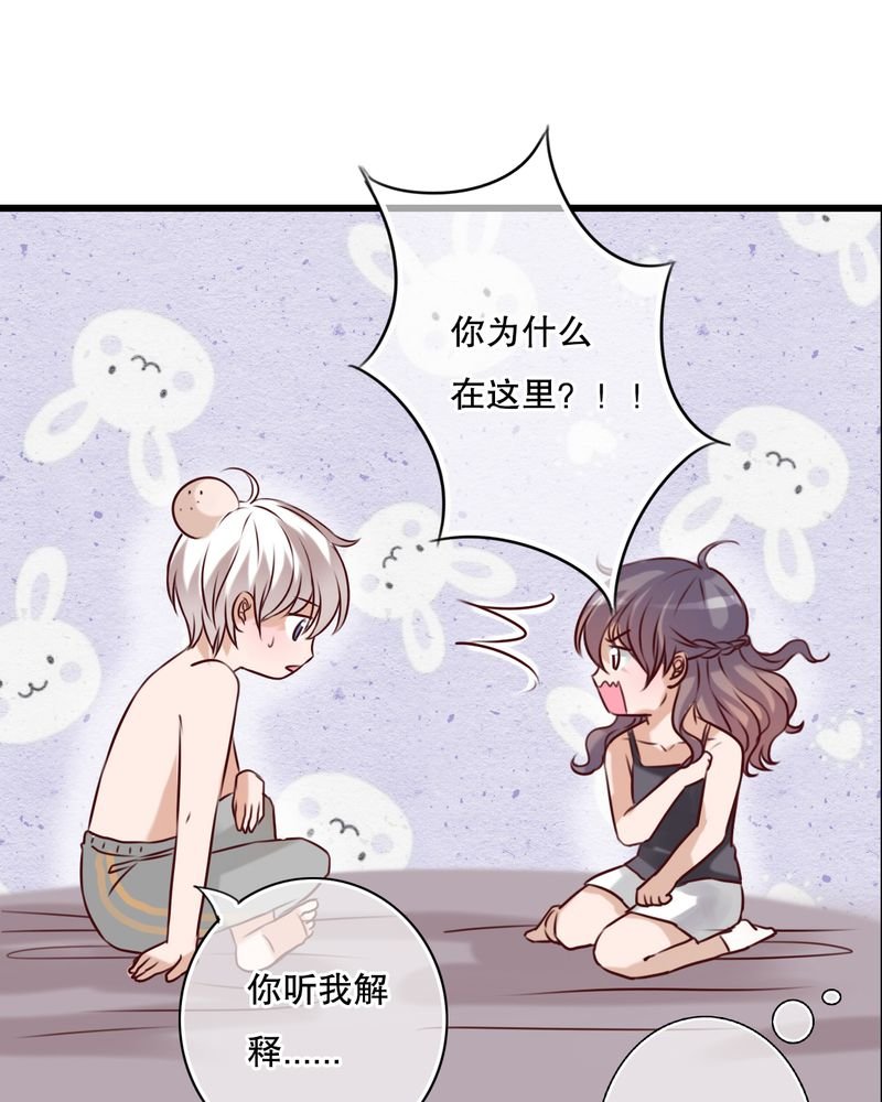 第23章：解释
