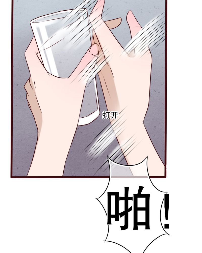第23章：解释