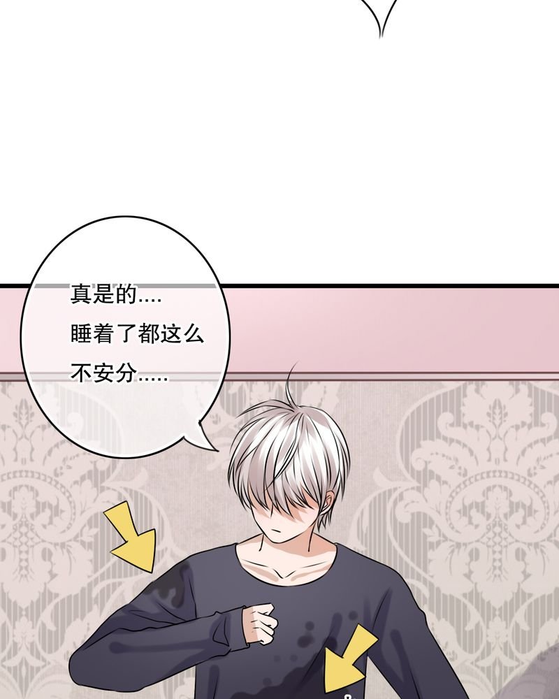 第23章：解释