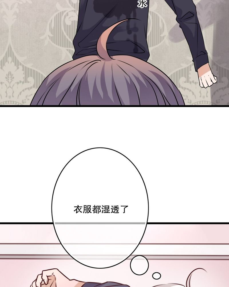 第23章：解释