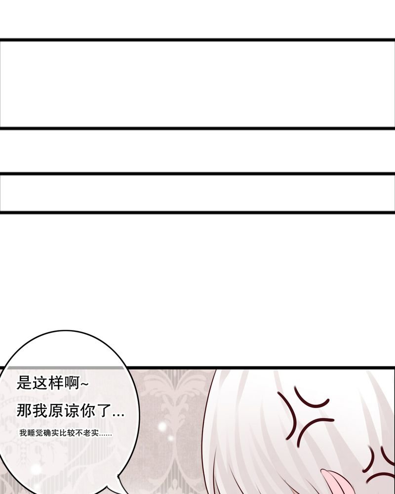 第23章：解释