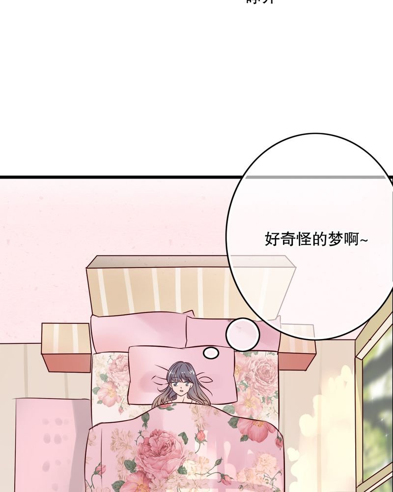 第28章：梦境