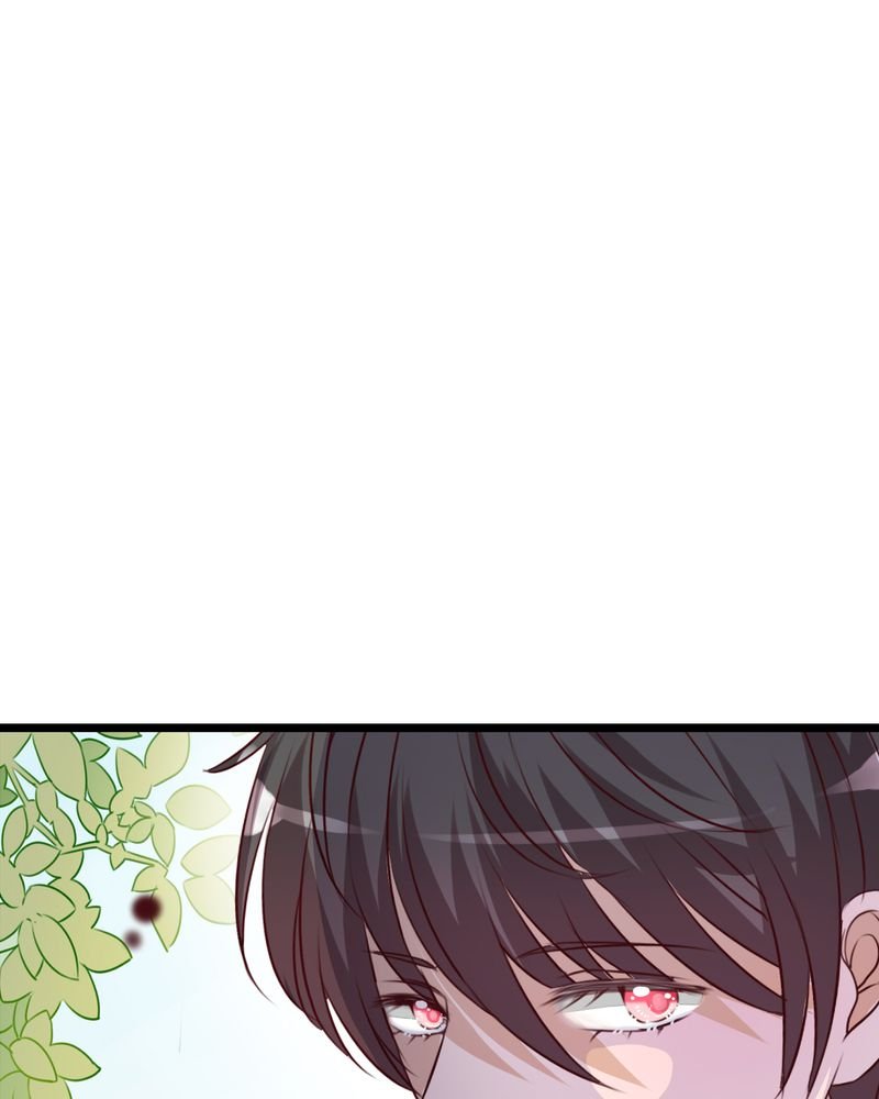 第35章：樱花树下