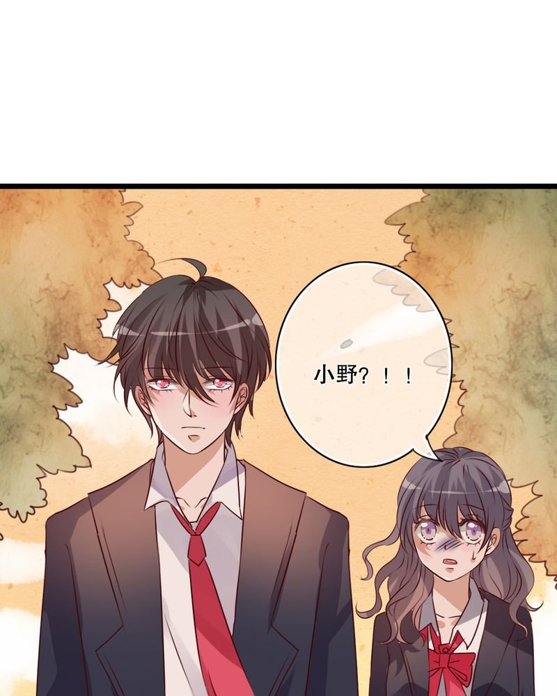 第37章：记忆